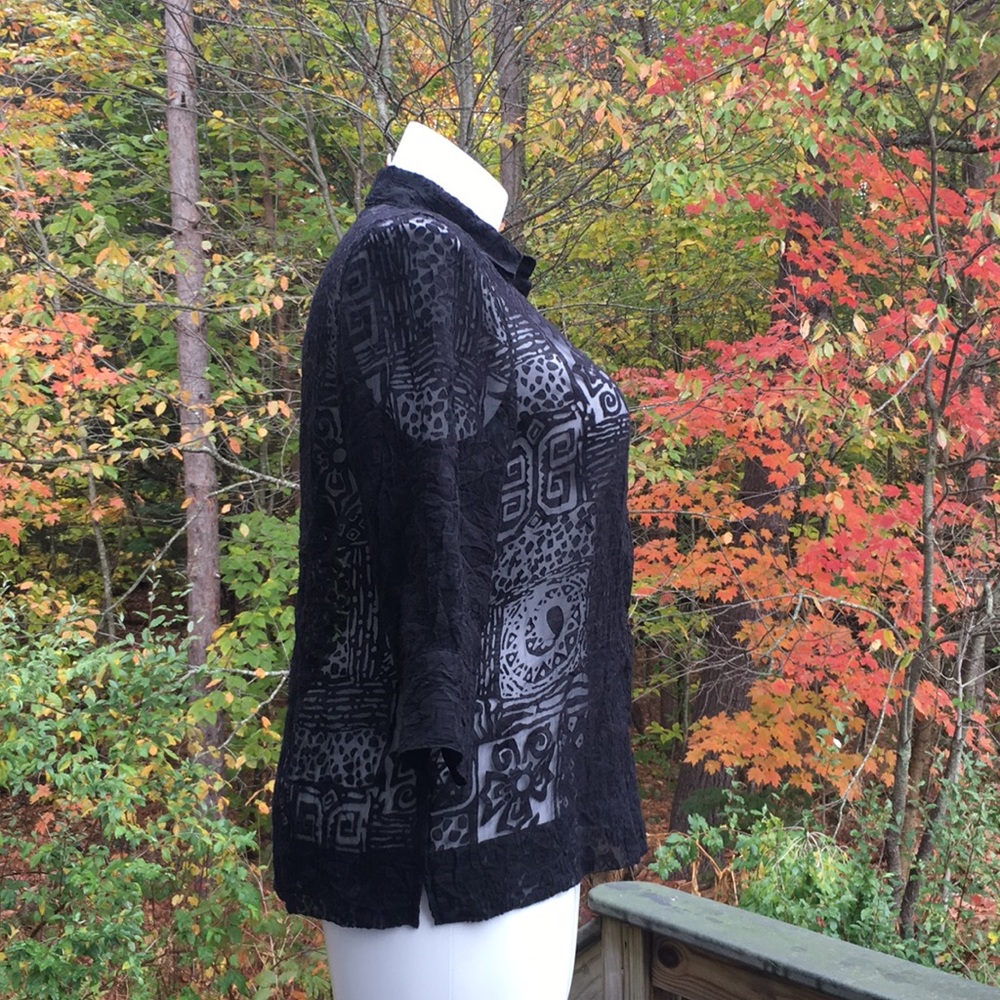 Ruby Rd. Aztec Pattern Black Sheer Top Size 12 - image 6